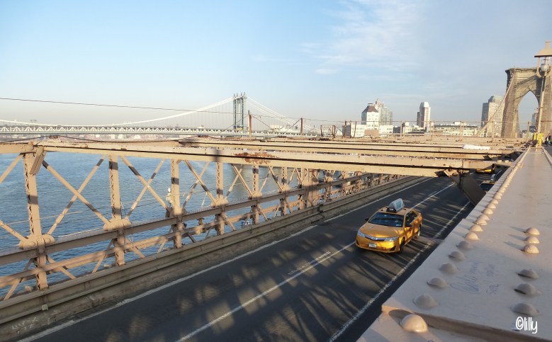 new-yorkbridge_lespetitsvoyagesdelilly