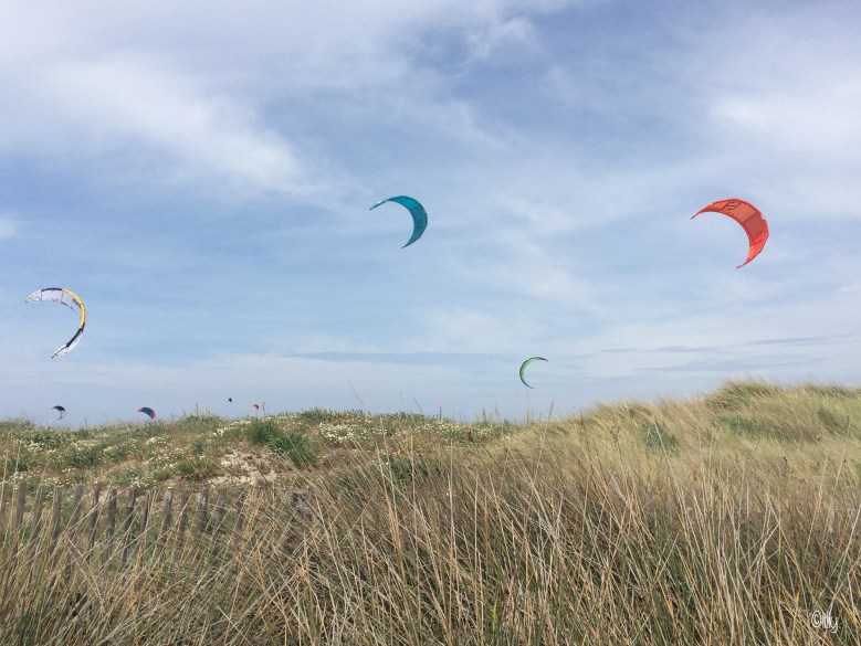 Plage Almanarre_©les petitsvoyagesdelilly