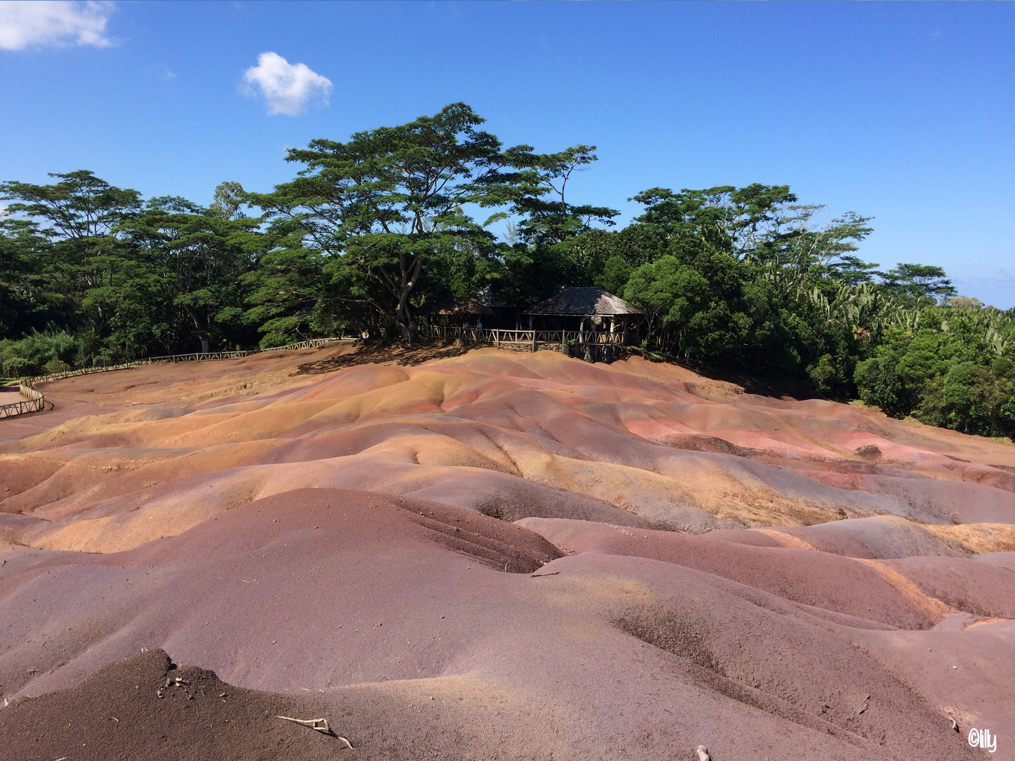 Chamarel_©lespetitsvoyagesdelilly