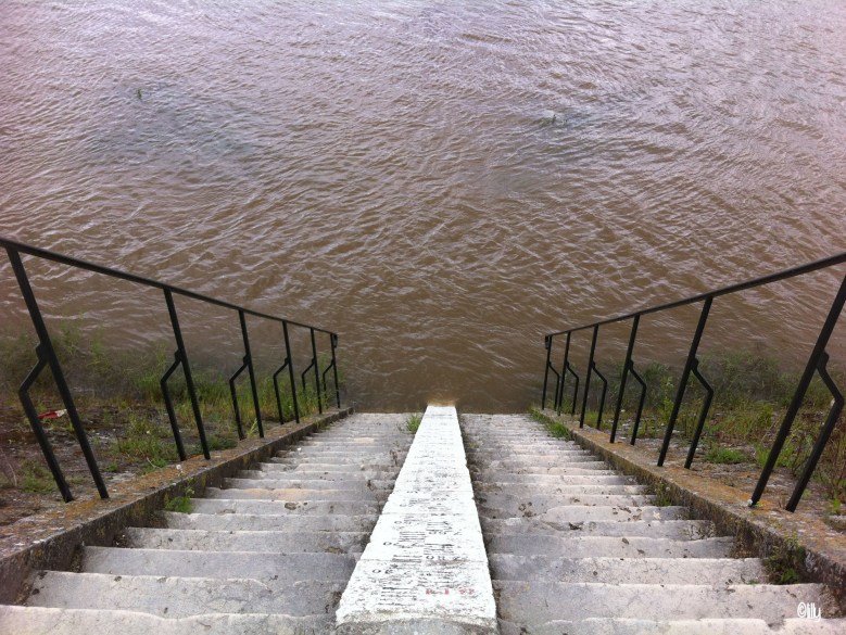 La Loire à vélo_Loire©lespetitsvoyagesdelilly