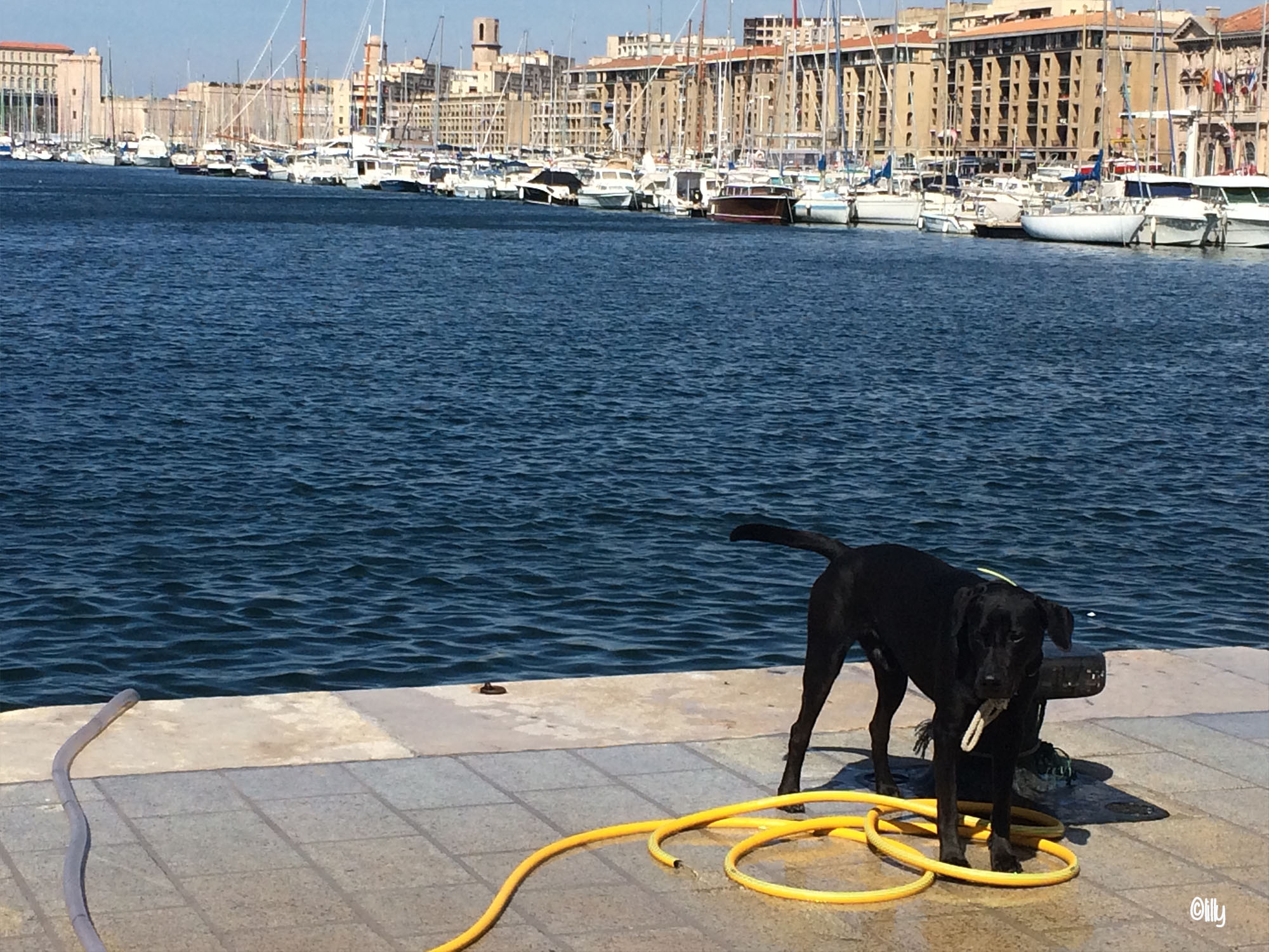 Marseille3_lespetitsvoyagesdelilly