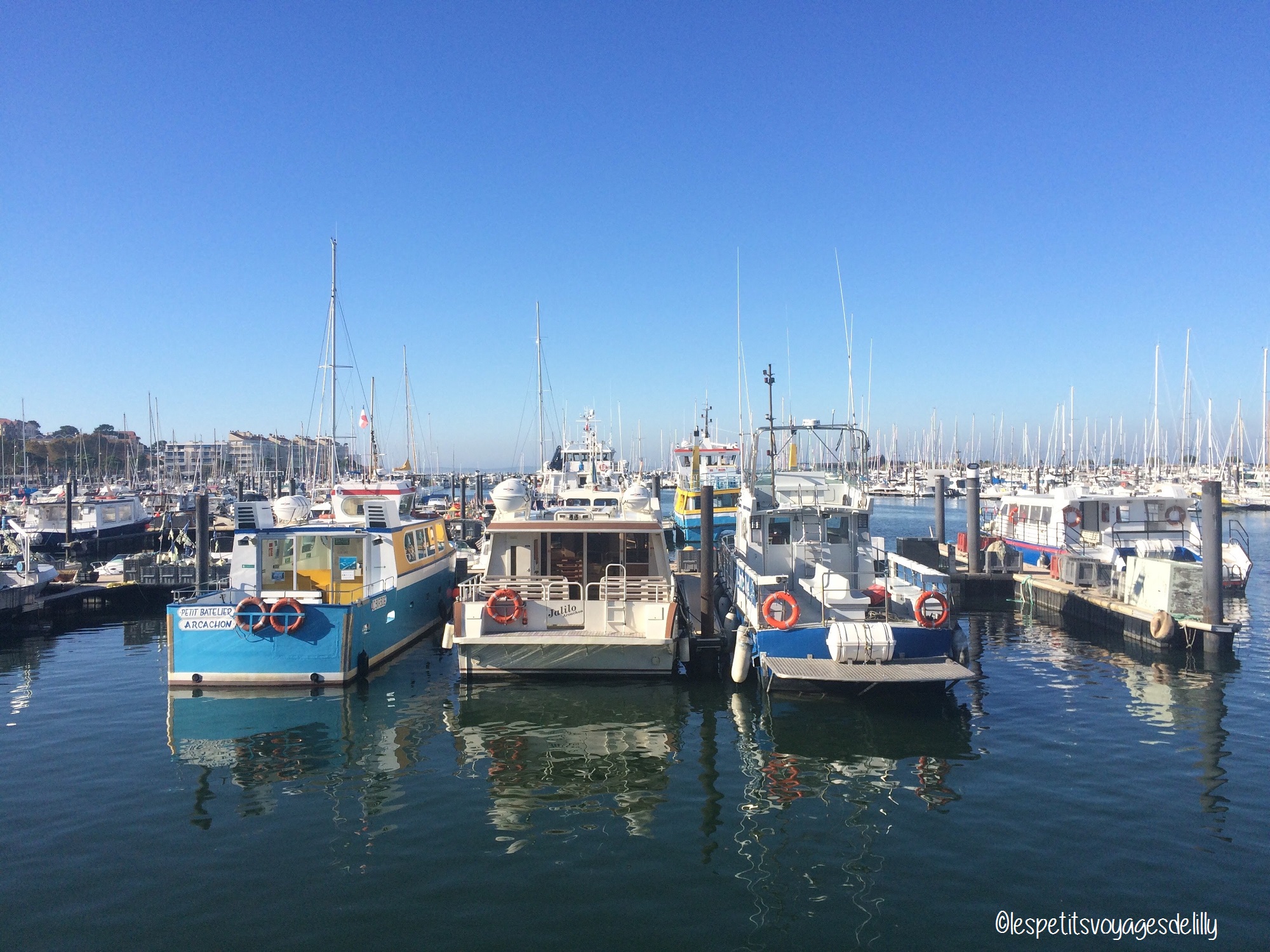 bassin-darcachon6_lespetitsvoyagesdelilly