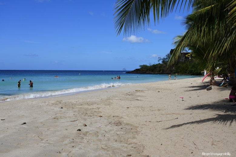 Martinique_Anse Figuier2_©lespetitsvoyagesdelilly
