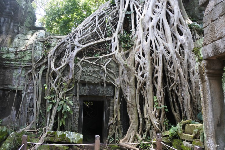 ©Lespetitsvoyagesdelilly_Angkor_9174