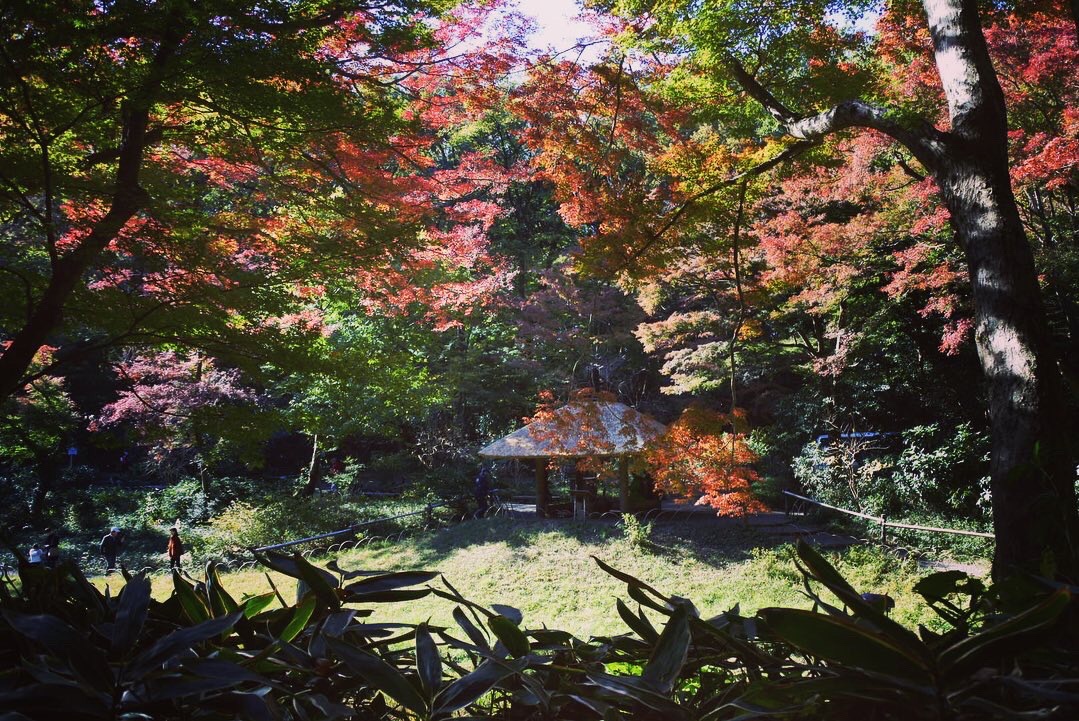 6e3881b6-b4f6-4b88-93bb-9d0f0993870c