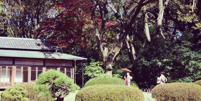 fb4ea62d-b12f-4704-9143-4316d7e49e04