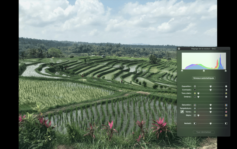 Capture d’écran 2020-04-10 à 17.36.30