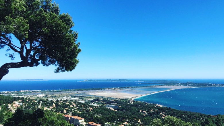 97186019-f598-4cfb-b2fd-dc4e1a41eaa4